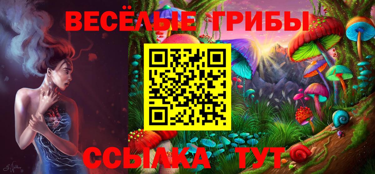 Галлюциногенные грибы Psilocybe  даркнет сайт  Вход с VPN  Асино  Псилоцибиновые грибы ЛСД 