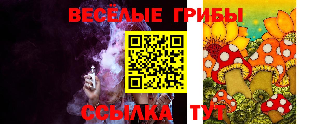Псилоцибиновые грибы GOLDEN TEACHER Асино